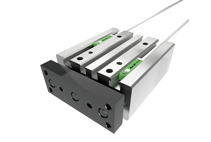 dfge magnetic cylinder sensor 02